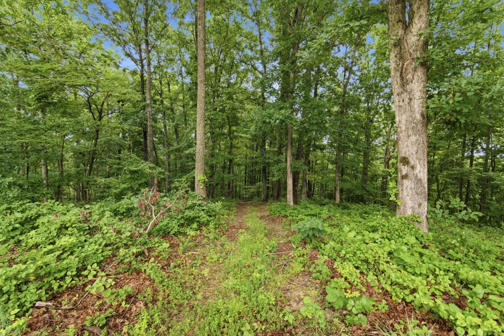 1658 Apache Trl Pegram, TN 37143