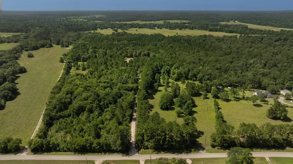 5132 Mount Zion Road New Waverly, TX 77358