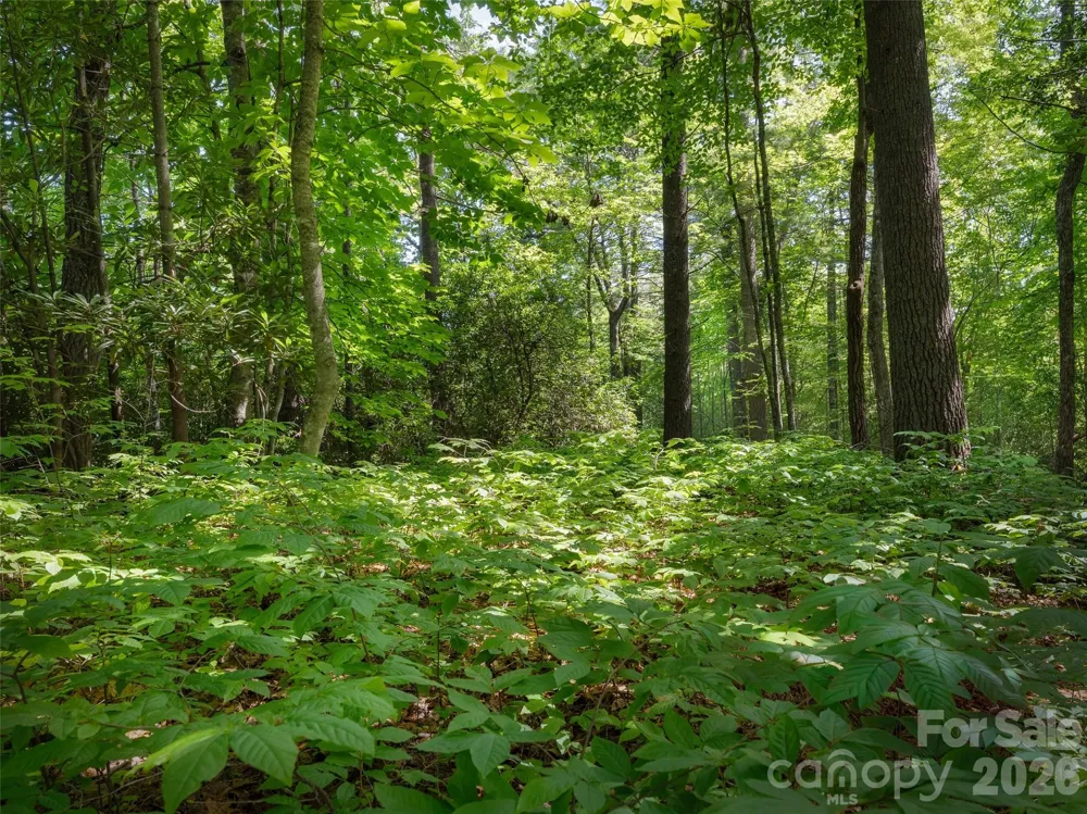 Lot 161 Eagle Lake Drive Brevard, NC 28712