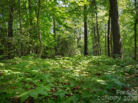 Lot 161 Eagle Lake Drive