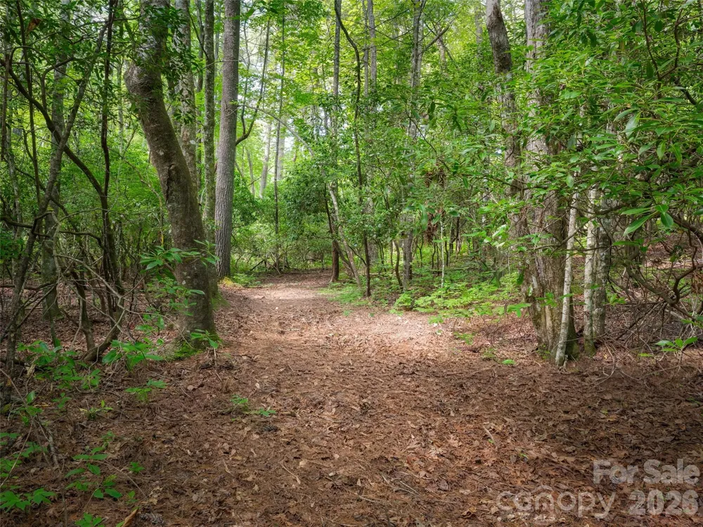 Lot 161 Eagle Lake Drive Brevard, NC 28712
