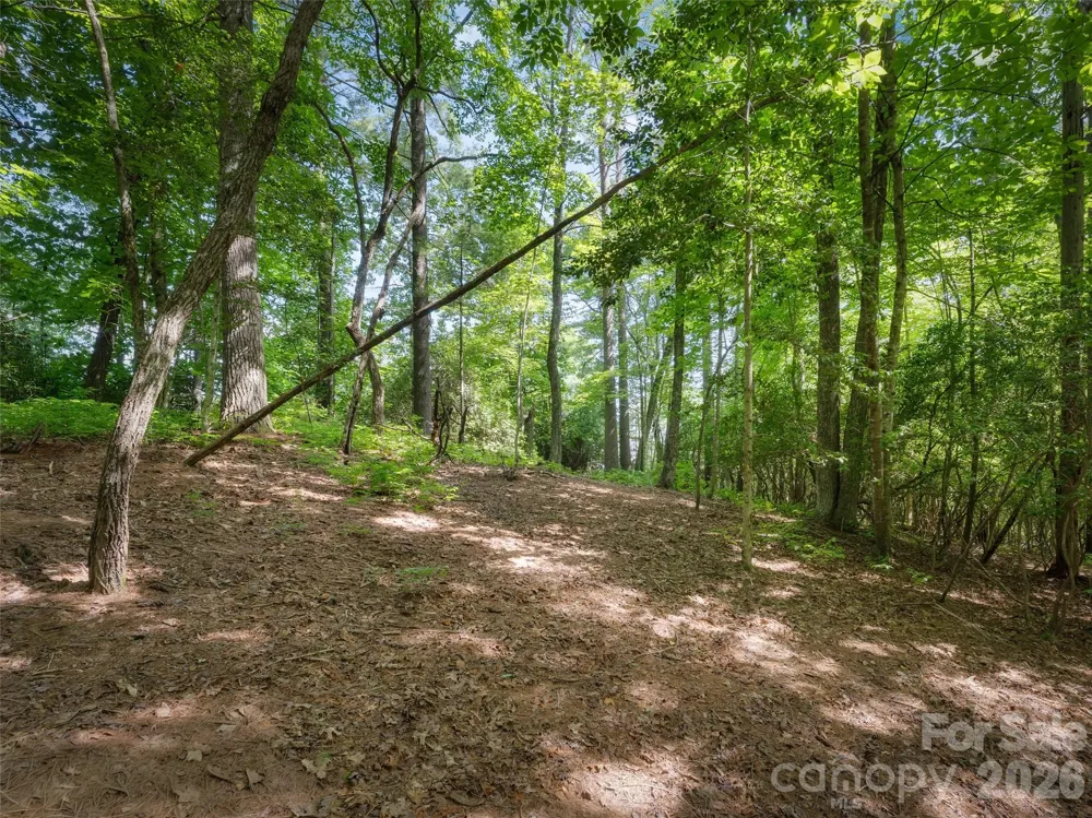 Lot 161 Eagle Lake Drive Brevard, NC 28712