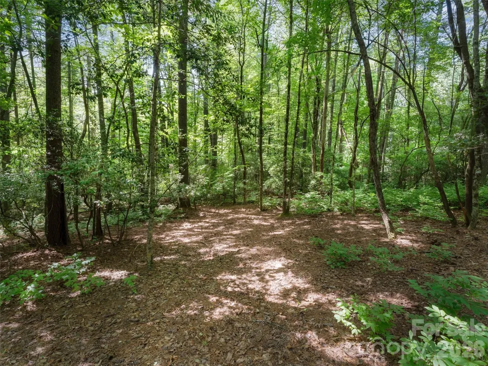 Lot 161 Eagle Lake Drive Brevard, NC 28712
