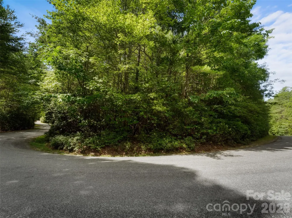 Lot 161 Eagle Lake Drive Brevard, NC 28712