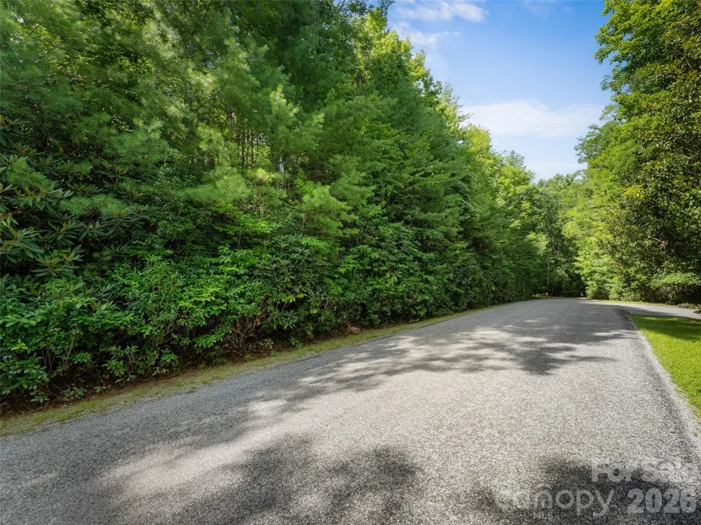Lot 161 Eagle Lake Drive Brevard, NC 28712