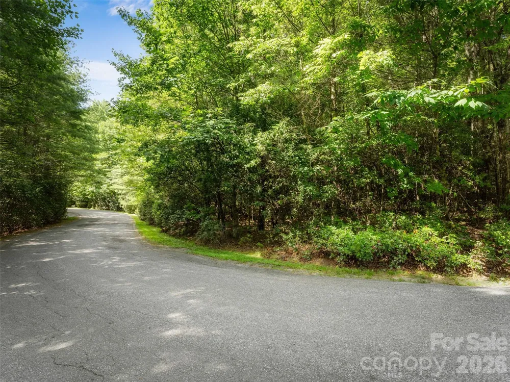 Lot 161 Eagle Lake Drive Brevard, NC 28712