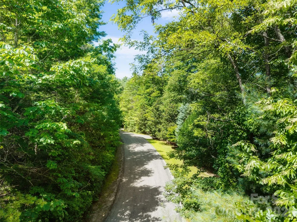 Lot 161 Eagle Lake Drive Brevard, NC 28712