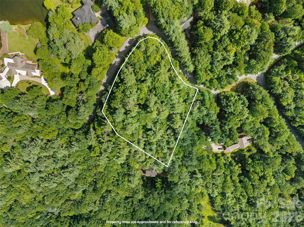 Lot 161 Eagle Lake Drive Brevard, NC 28712