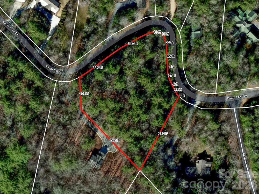 Lot 161 Eagle Lake Drive Brevard, NC 28712