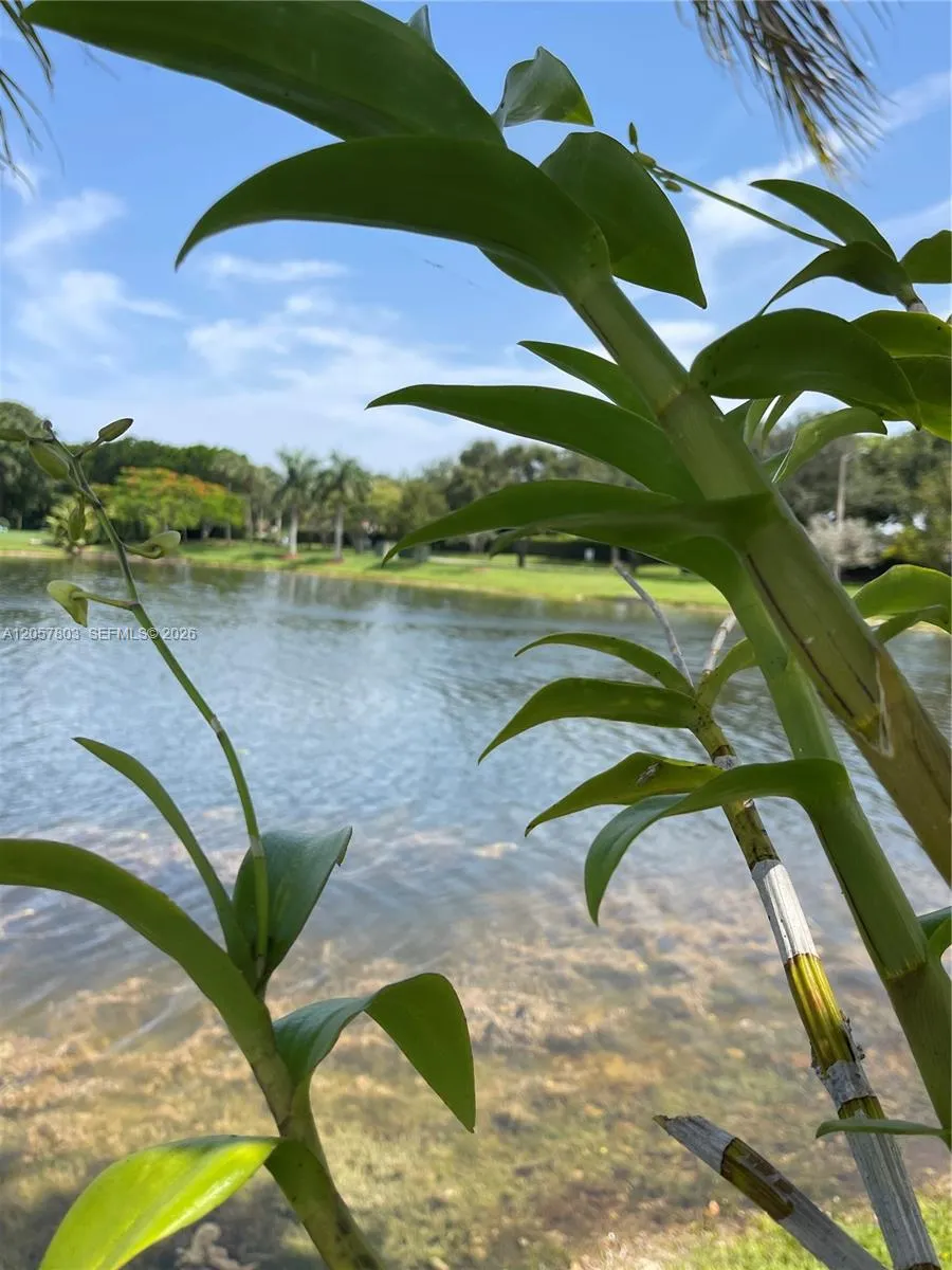 340 SW 167th Ave Pembroke Pines, FL 33027