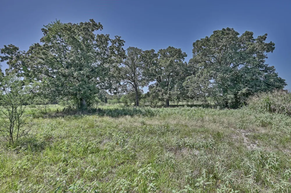 6823 Fawn Oaks Ridge Iola, TX 77861