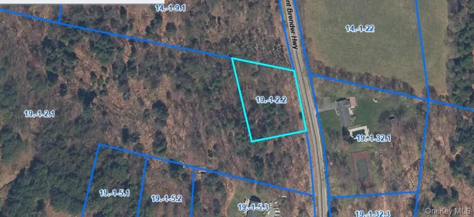 Co Hwy 73 Swan Lake, NY 12783