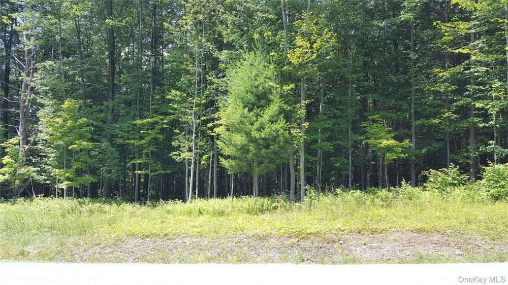 Co Hwy 73 Swan Lake, NY 12783