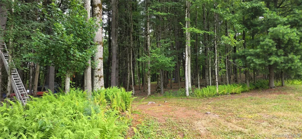 Co Hwy 73 Swan Lake, NY 12783