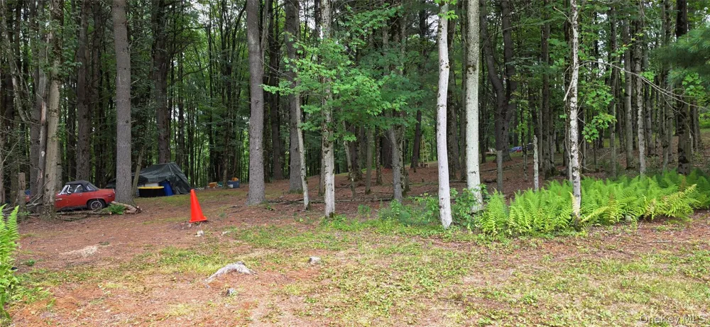 Co Hwy 73 Swan Lake, NY 12783