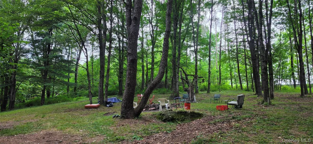 Co Hwy 73 Swan Lake, NY 12783
