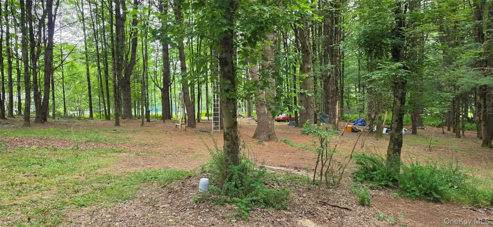 Co Hwy 73 Swan Lake, NY 12783
