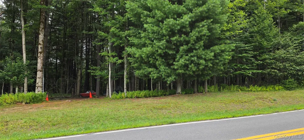 Co Hwy 73 Swan Lake, NY 12783