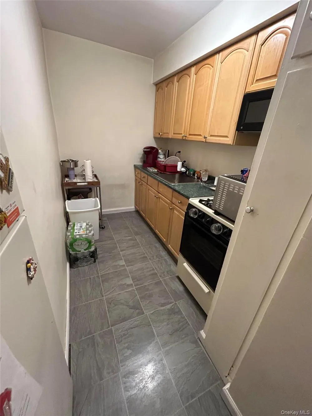 194 Smith Street #1M Freeport, NY 11520