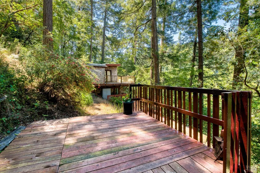 15 Mountain View Avenue Lagunitas, CA 94938