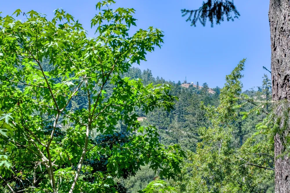 15 Mountain View Avenue Lagunitas, CA 94938