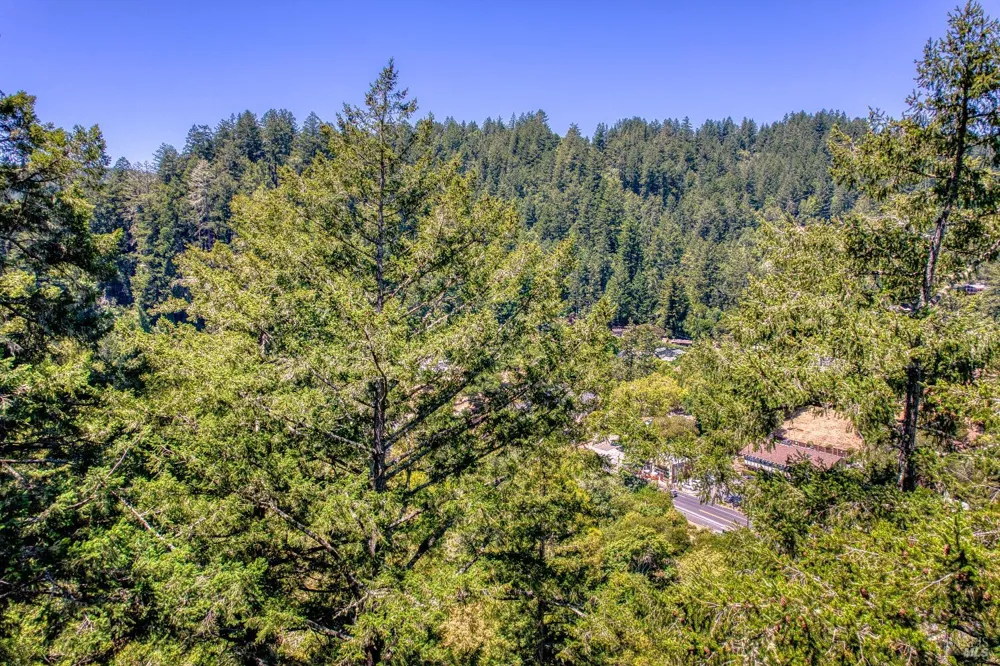15 Mountain View Avenue Lagunitas, CA 94938