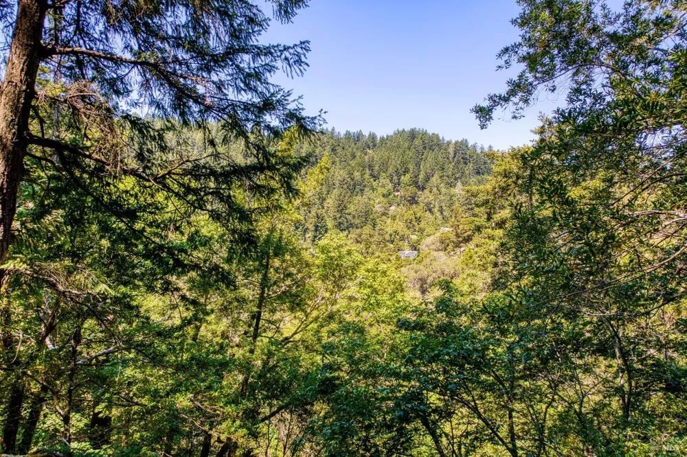 15 Mountain View Avenue Lagunitas, CA 94938
