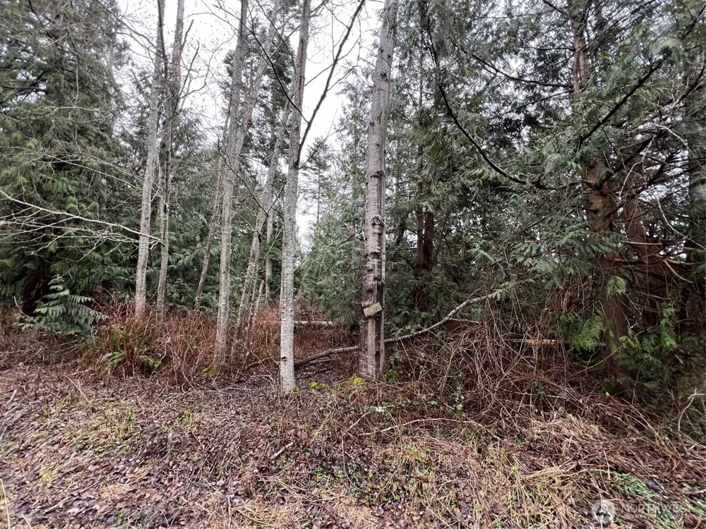 0 Lot 6 Rex Street Point Roberts, WA 98281