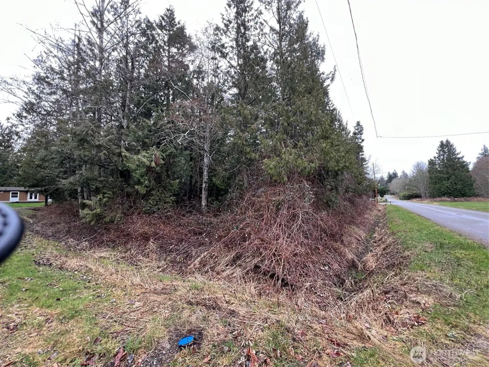 0 Lot 6 Rex Street Point Roberts, WA 98281