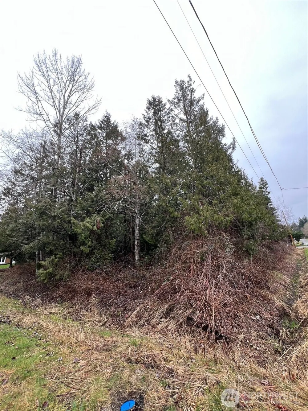0 Lot 6 Rex Street Point Roberts, WA 98281
