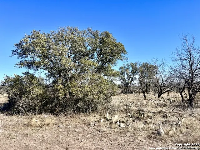200 Axis Spur Brady, TX 76825