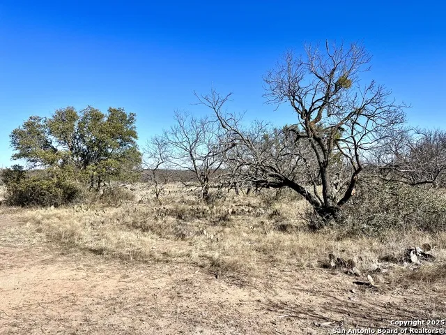 200 Axis Spur Brady, TX 76825