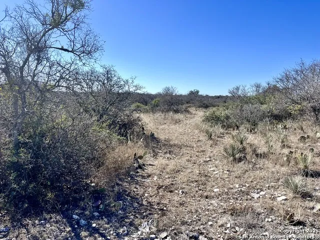 200 Axis Spur Brady, TX 76825