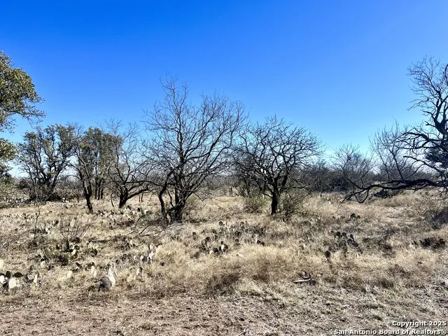200 Axis Spur Brady, TX 76825
