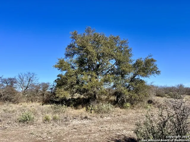 200 Axis Spur Brady, TX 76825