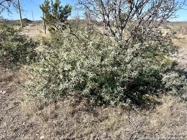 200 Axis Spur Brady, TX 76825