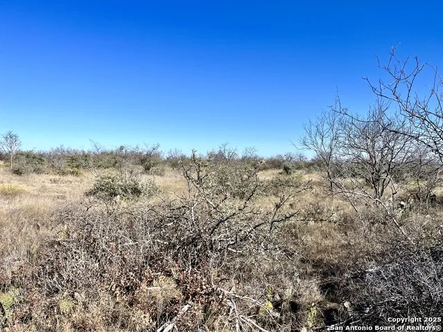 200 Axis Spur Brady, TX 76825