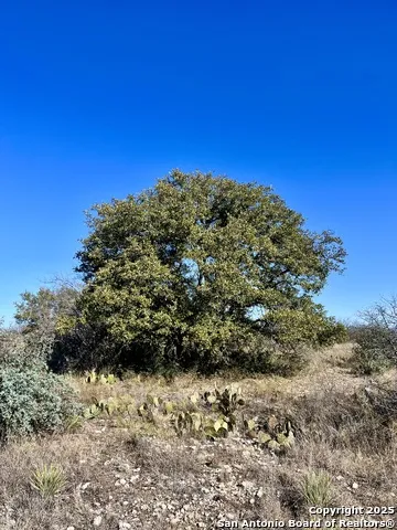 200 Axis Spur Brady, TX 76825
