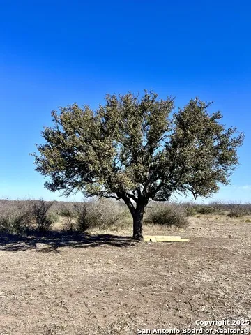 200 Axis Spur Brady, TX 76825
