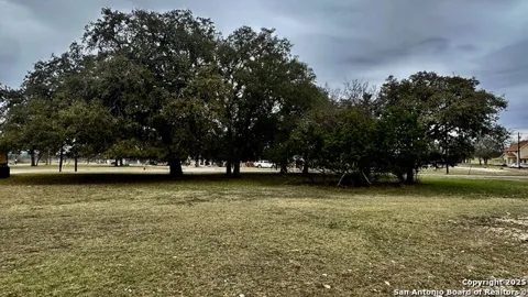 000 Tawny Oak