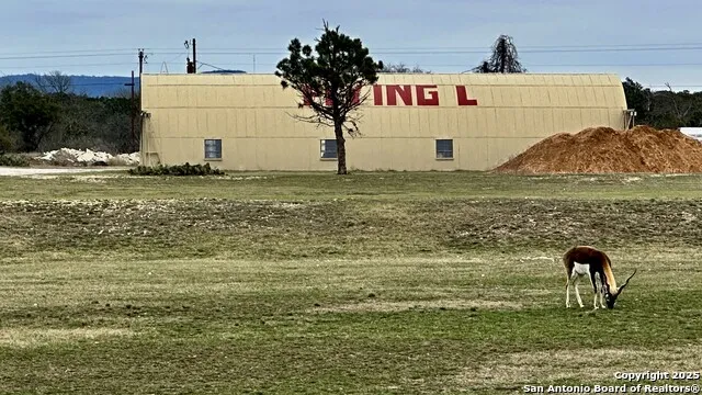 000 Tawny Oak Bandera, TX 78003