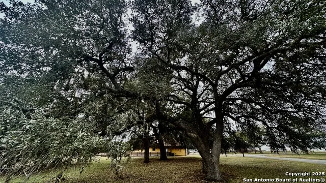 000 Tawny Oak Bandera, TX 78003