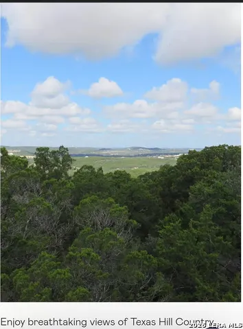 31663 MEANDER LN Bulverde, TX 78163
