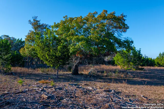 3754 Byrd Ranch Rd. Johnson City, TX 78636