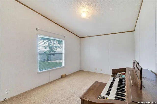 14858 Fm 1322 Luling, TX 78648