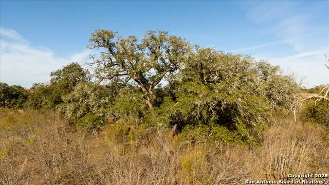 14858 Fm 1322 Luling, TX 78648