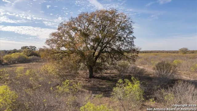 14858 Fm 1322 Luling, TX 78648