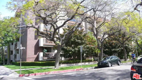 324 Palm Drive