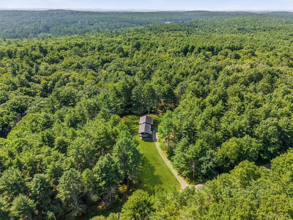 165 Dexheimer Road Narrowsburg, NY 12764