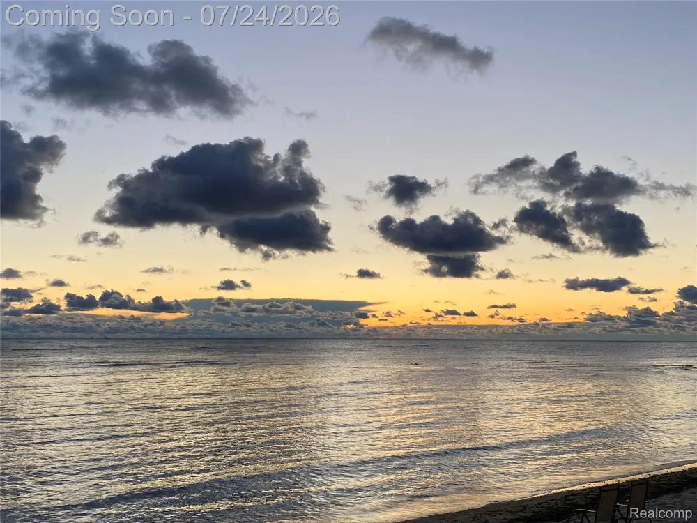 5110 Shorefront Lane Port Hope Village, MI 48468